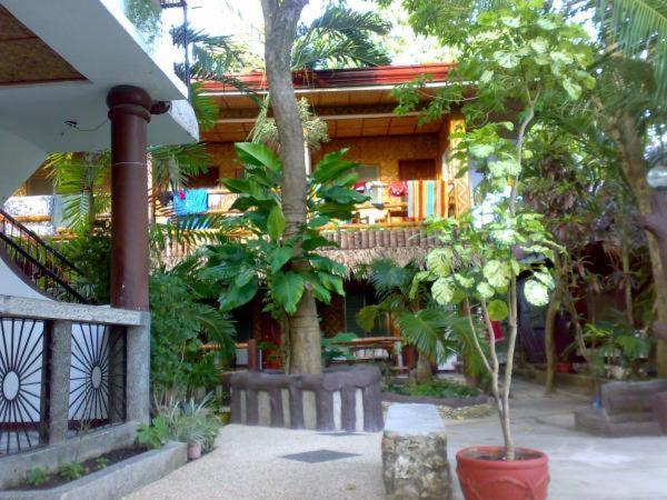 Love'S Beach & Dive Resort 莫阿尔博阿 外观 照片