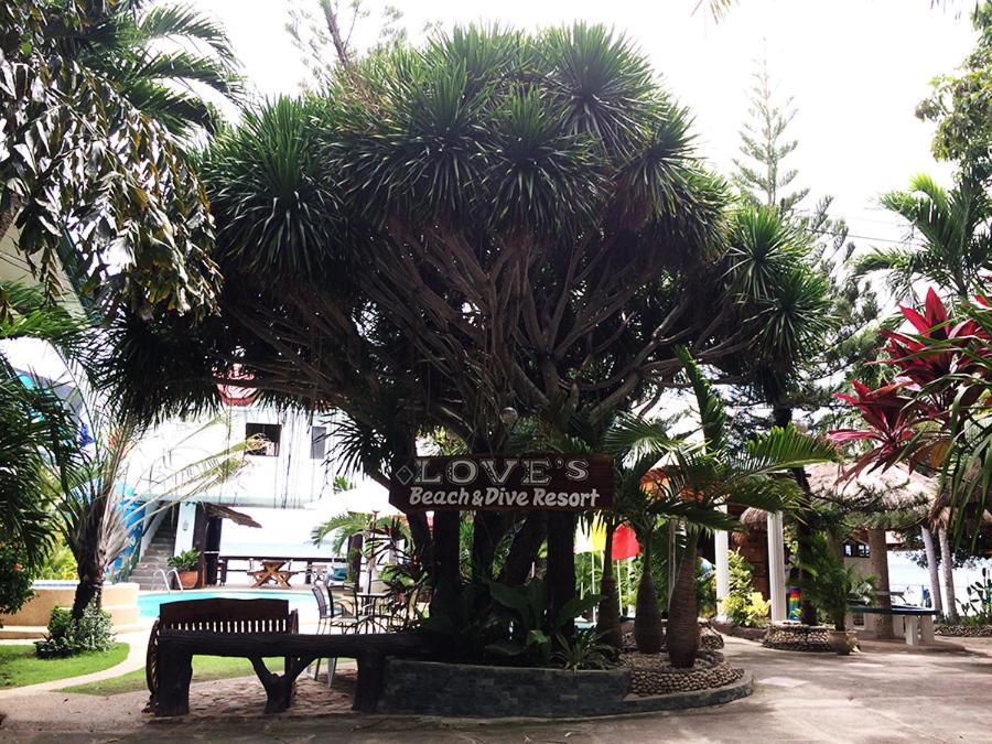 Love'S Beach & Dive Resort 莫阿尔博阿 外观 照片
