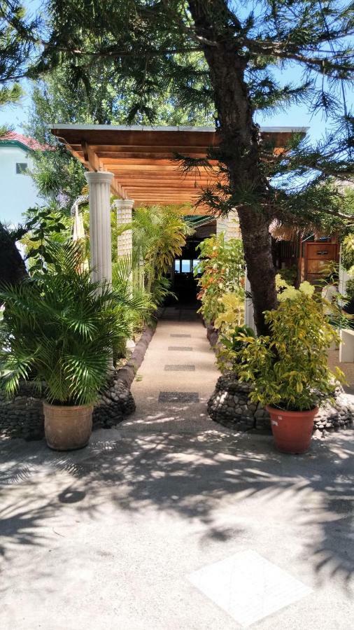 Love'S Beach & Dive Resort 莫阿尔博阿 外观 照片